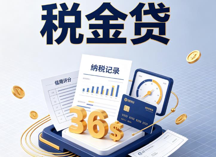 南京六合企业税贷|南京六合企业设备回租|南京六合税贷过桥